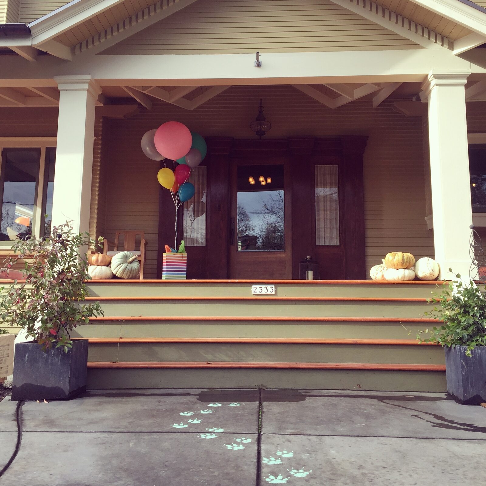 A styled social celebration with a festive display